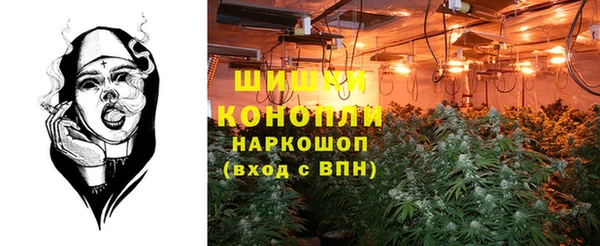PSILOCYBIN Баксан