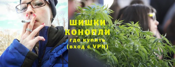 PSILOCYBIN Баксан