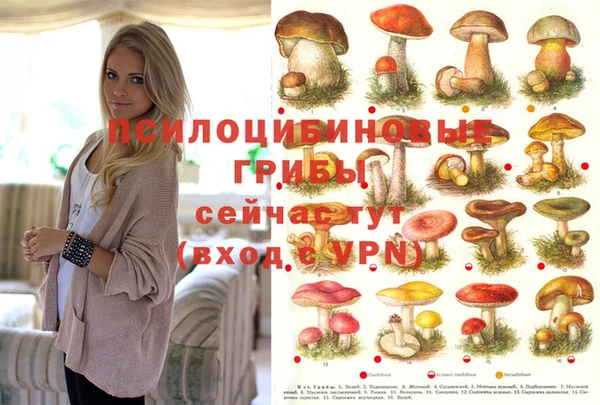 PSILOCYBIN Баксан