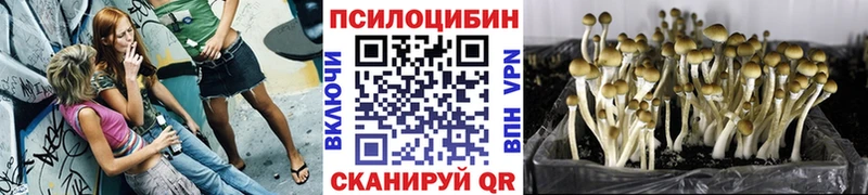 Галлюциногенные грибы GOLDEN TEACHER  цены   Шиханы 